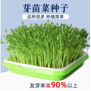 四季芽苗菜种子豌豆种籽萝卜苗香椿小麦草蔬菜芽菜种