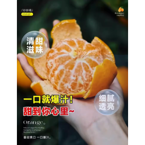桔树苗地栽盆栽